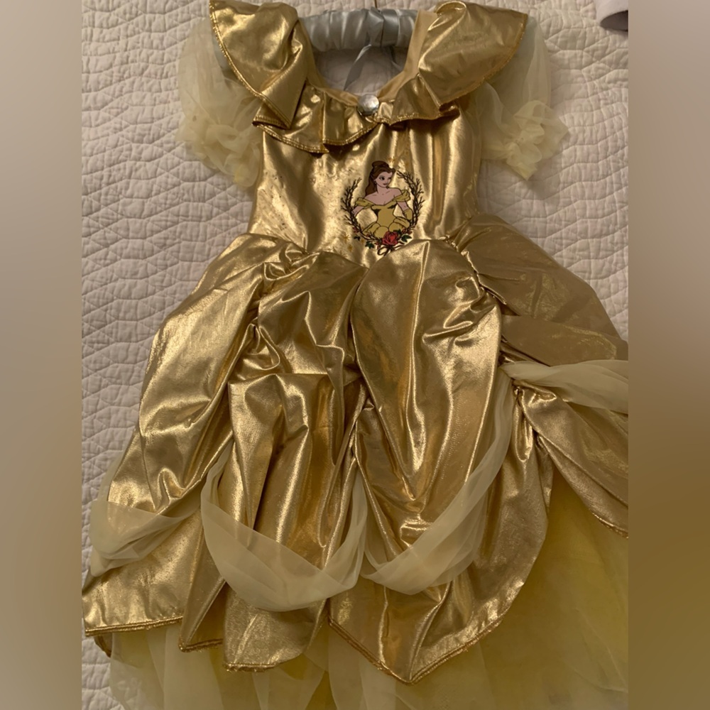Disney Princess Belle Halloween Costume